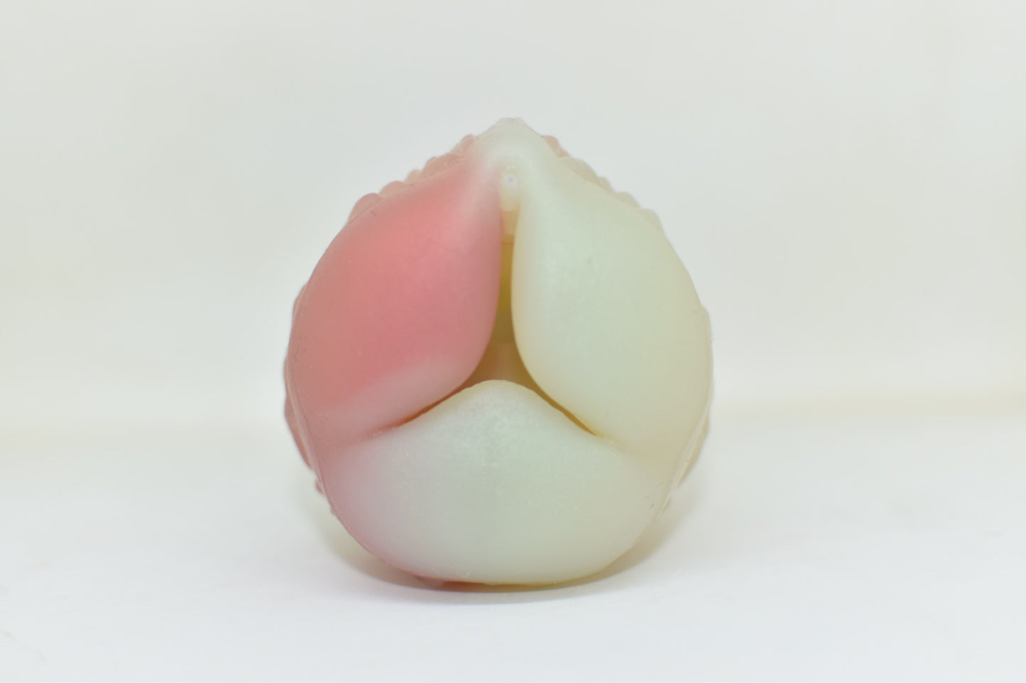 Asena - M - 0035